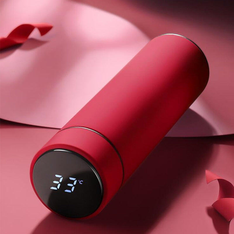 Smart Water Bottle with LCD Temperature Display